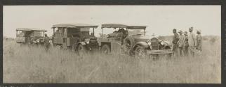 Caravan of automobiles, African Safari