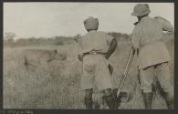 Shooting rhino, African Safari