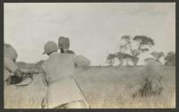 Shooting rhino, African Safari