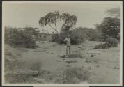 Carl Akeley at Kissimani, African Safari