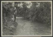 Nanyuki- trout stream - A.D.S., African Safari