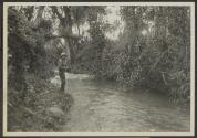 Nanyuki - trout stream - A.D.S., African Safari