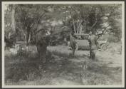 George Eastman, African Safari
