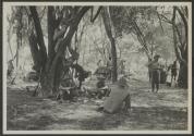 Camp scene, African Safari