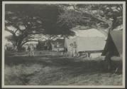 Camp scene, African Safari