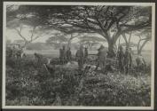 Breaking camp, African Safari
