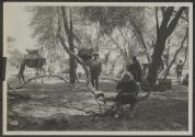 George Eastman near camels, African Safari