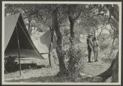 Camp scene, African Safari