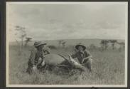 Dan Pomeroy and Martin Johnson with dead eland, African Safari