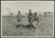 Dan Pomeroy and eland, African Safari