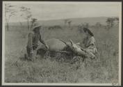 Dan Pomeroy and Osa Johnson with dead eland, African Safari