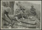 George Eastman and companions dining on ground, African Safari