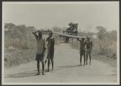 Native men carrying Osa Johnson in sedan chair, African Safari