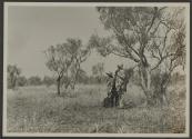Companions in meadow, African Safari