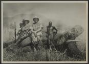 The Johnsons and native hunters with dead elephant, African Safari