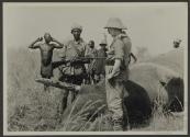George Eastman and native hunters beside dead elephant, African Safari