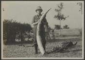 George Eastman with elephant tusk, African Safari
