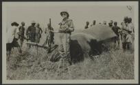 George Eastman and hunting companions with dead elephant, African Safari