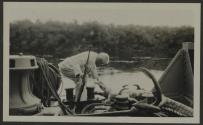 George Eastman examining dead crocodile, African Safari