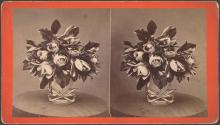 [Magnolias arranged in a vase]