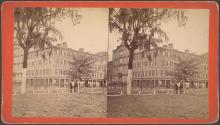 Screven House
