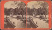 Mr. Hart's Orange Grove, Palatka