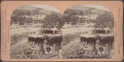 Palestine, Caesarea Philippi, The Castle