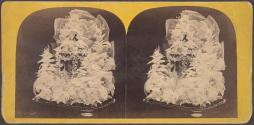 Beautiful Study in Skeleton Leaves