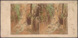 The Flume, at Lincoln, New Hampshire