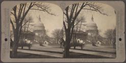 U.S. Capitol, Washington, D.C.