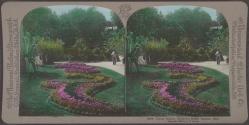 Floral beauty, Soldier's Home, Dayton, Ohio