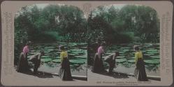 Watching the goldfish, Washington Park, Chicago