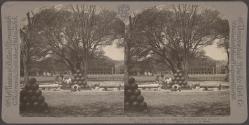 Cannon captured at siege of Yorktown, October 19, 1781, Fortress Monroe, Virginia