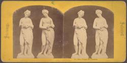 Venus and Pandora
