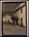 [Entrance to house with tree]