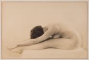 [Nude study]