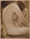 [Seated nude woman]
