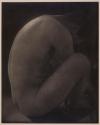 [Nude study]