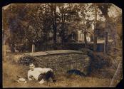 [Elias Goldensky reclining with camera in front of bridge]