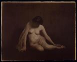 [Nude study]