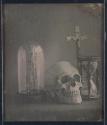 [Still life with skull]