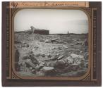 Ruins of Capernaum