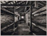 Auschwitz, Poland