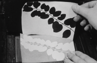 Negatives on Paper: Talbot's Process