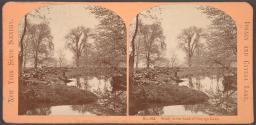 Study at the head of Cayuga Lake