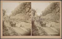 Williams' Canyon