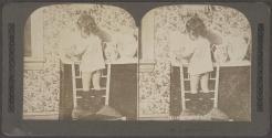 A Hurried Toilet