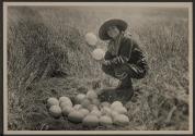 Osa Johnson with ostrich eggs, African Safari