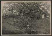 Osa Johnson outside village beside stream, African Safari