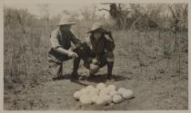 Dan Pomeroy and Osa Johnson examining ostrich egg nest, African Safari